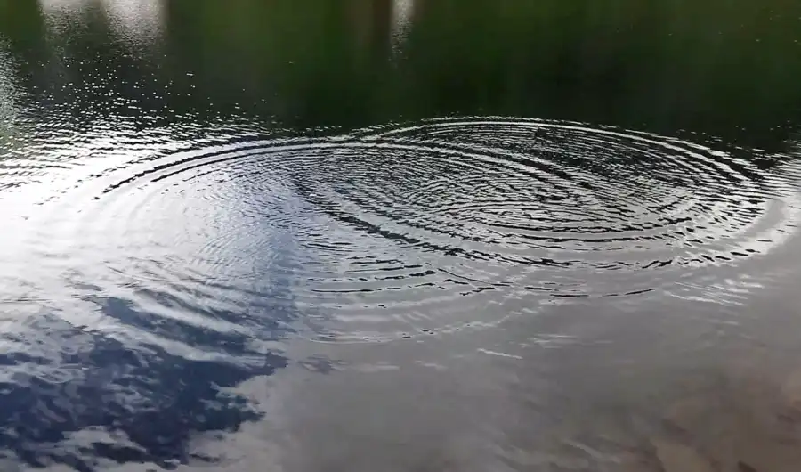 Wasserkreise als Symbol für Gruppentherapie und zwischenmenschliche Resonanz